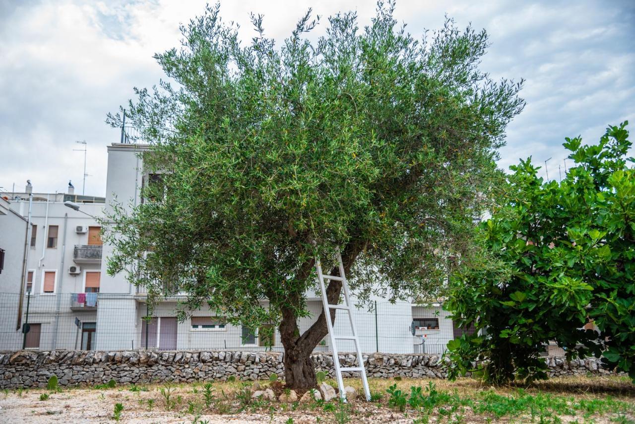 Trulli Dimora Palmisano Apartment Locorotondo Exterior photo